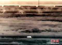 佳木斯边境惊现“熊出没” 民警逐户提醒附近村民